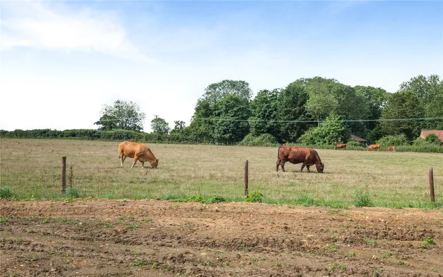 Crown Lane, Little Fransham, Dereham