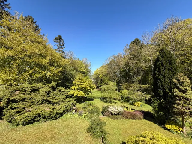 جبل ليكهامتون، تشيلتنغمان، GL53