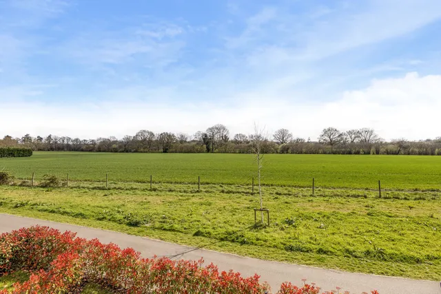 Romaine Road, Cranleigh, GU6