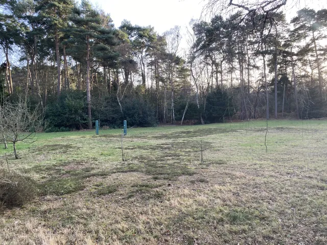 Birch Lane, Ascot, SL5