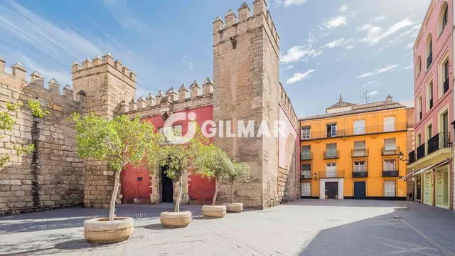 Apartment in SEVILLA, Sevilla
