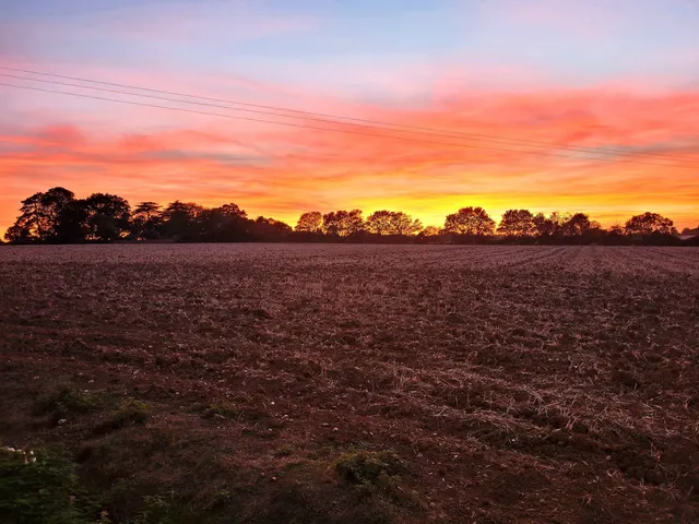 1 Saucelands Cottages Coggeshall Road Great Tey, Great Tey Colchester CO6 1AG