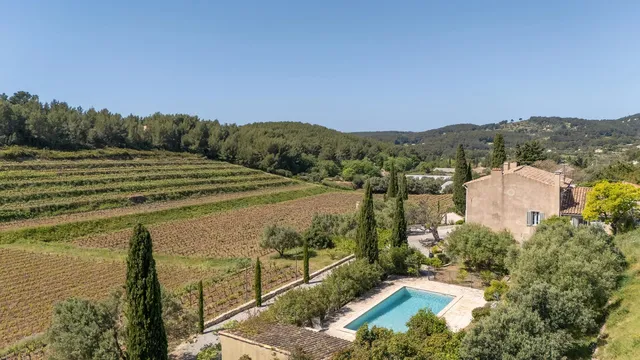 Vineyard in Ollioules, Provence - Var