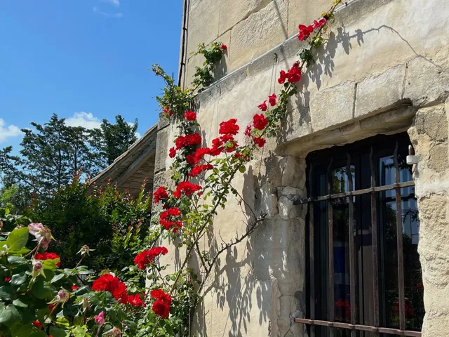 Villa in Arles, Provence - Var