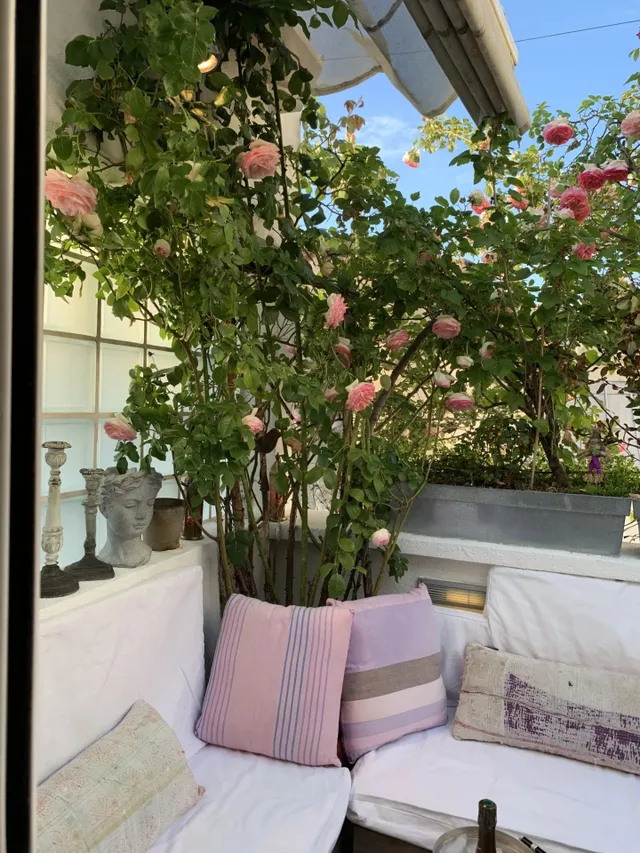Apartment in 6th (Saint Germain des Prés - Luxembourg), Paris