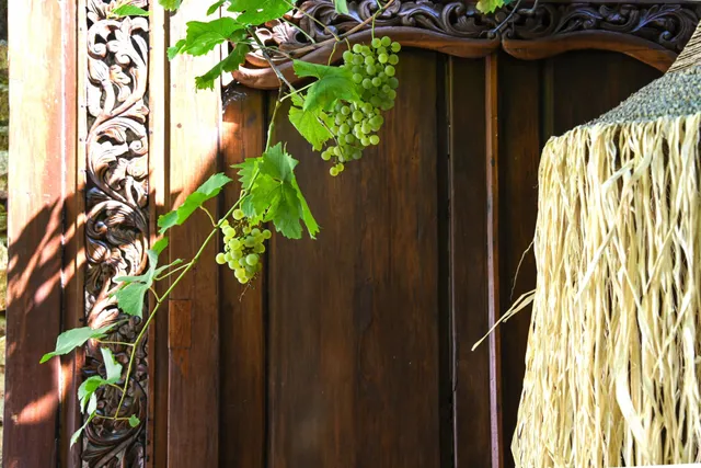 Villa in Uzes, Provence - Var