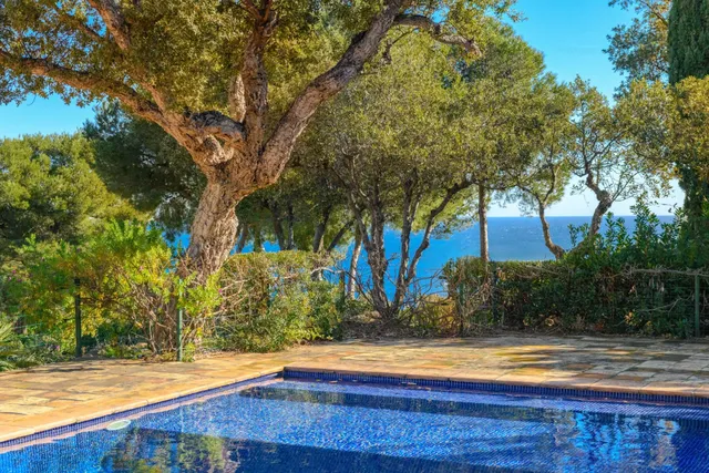 Villa in Bormes Les Mimosas, Provence - Var