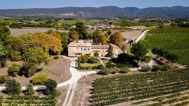 Vineyard in Apt, Provence - Var