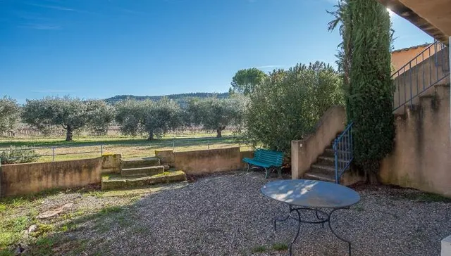 Vineyard in Apt, Provence - Var