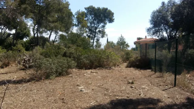 Land in Cala Vinyes, Mallorca