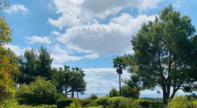 Land in Bendinat, Mallorca
