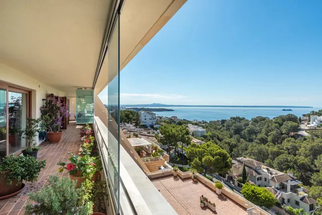 Apartment in Cas Catalí, Mallorca