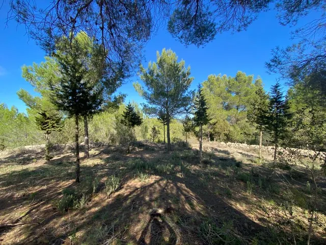 Villa in Sant Antoni de Portmany, Ibiza