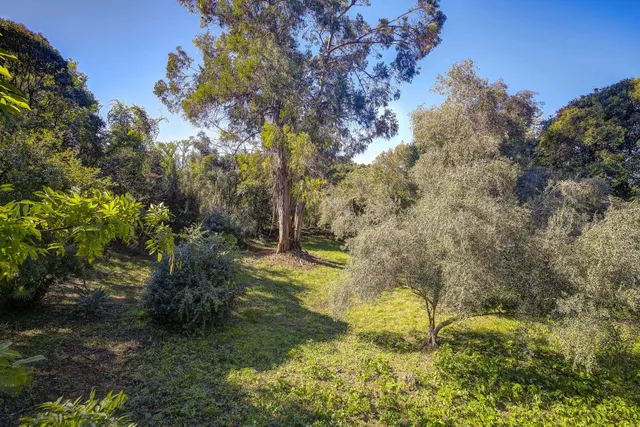 Villa in Mougins, French Riviera