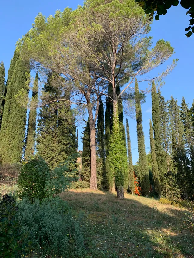 Land in Valbonne, French Riviera