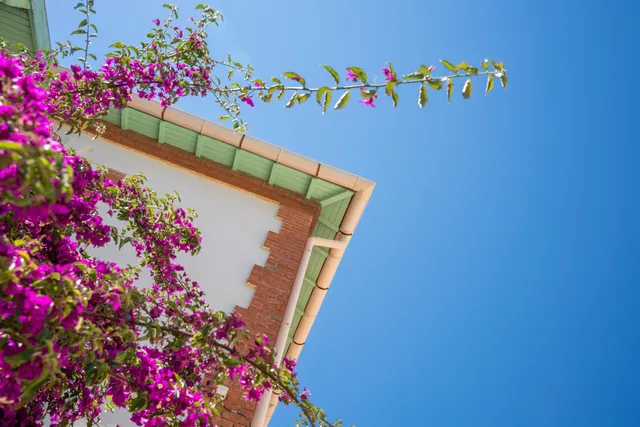 فيلا في ساناري سور مير، بروفانس - فاري