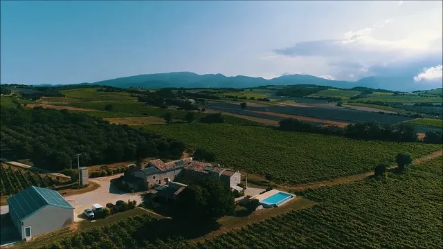 Vineyard in Orange, Provence - Var