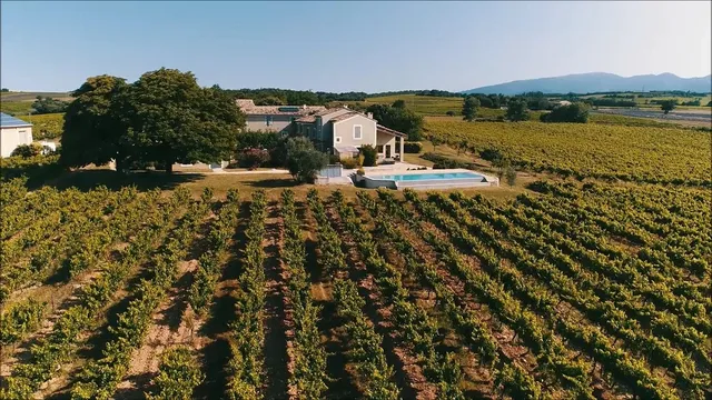 Vineyard in Orange, Provence - Var