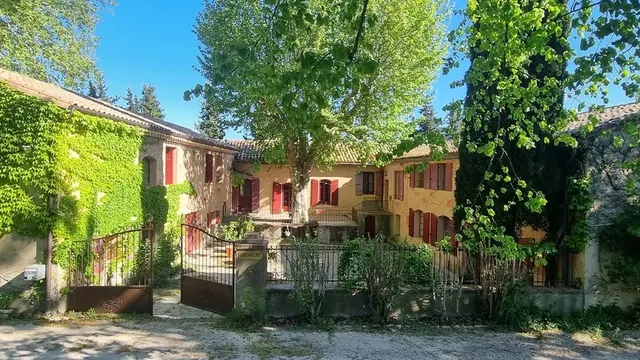 Vineyard in Orange, Provence - Var