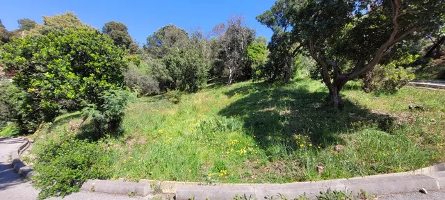 Land in Rayol Canadel Sur Mer, Provence - Var