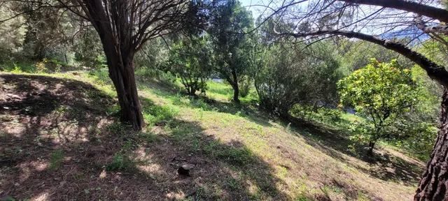 Land in Rayol Canadel Sur Mer, Provence - Var