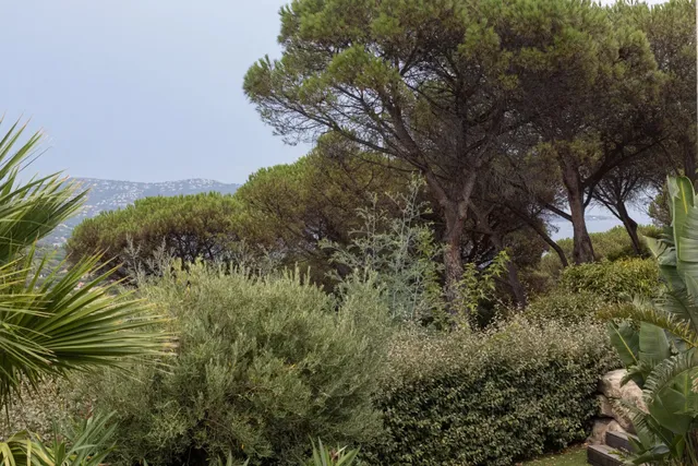 Villa in Ste Maxime, French Riviera
