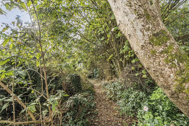 43 Trenowah Road, St. Austell PL25 3ED