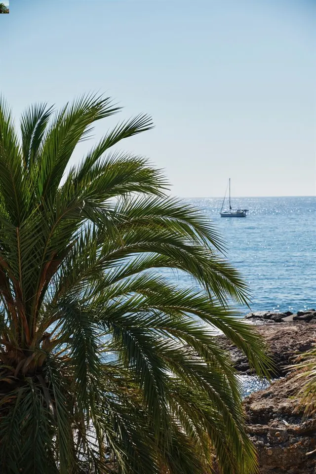 Villa in Mandelieu La Napoule, French Riviera