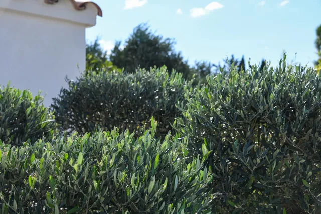 Villa in Uzes, Provence - Var