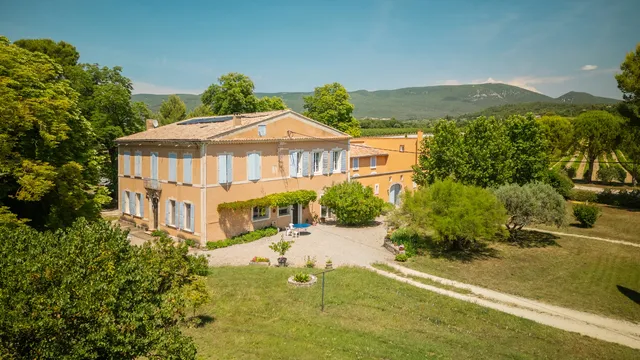 Vineyard in The Luberon / Vaucluse, Provence - Var