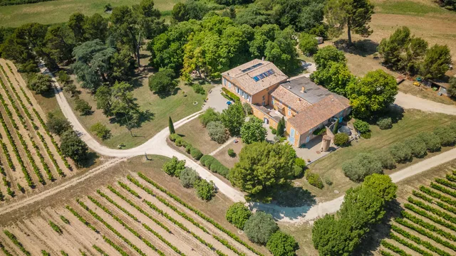 Vineyard in The Luberon / Vaucluse, Provence - Var