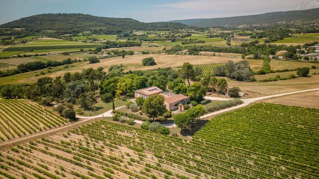 Vineyard in The Luberon / Vaucluse, Provence - Var
