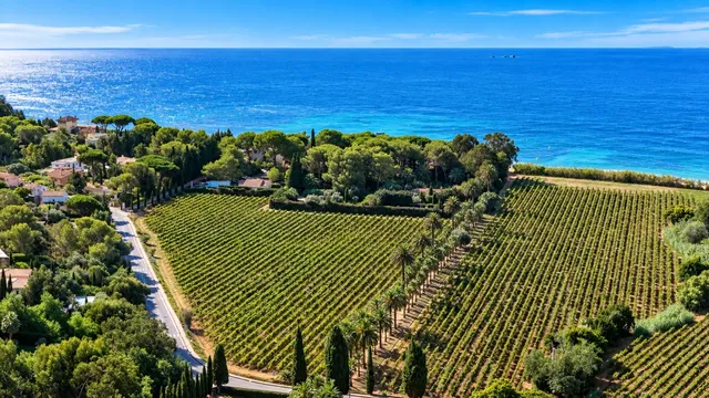 Villa in La Croix Valmer, French Riviera