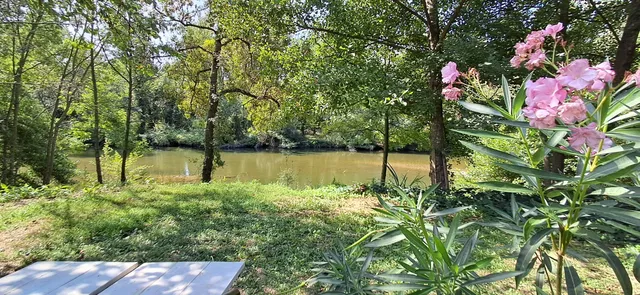 Villa in Sauve, Provence - Var
