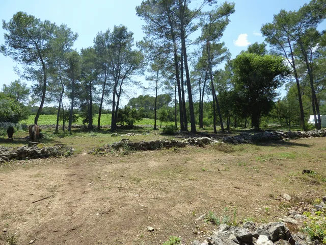 Villa in Seillans, Provence - Var