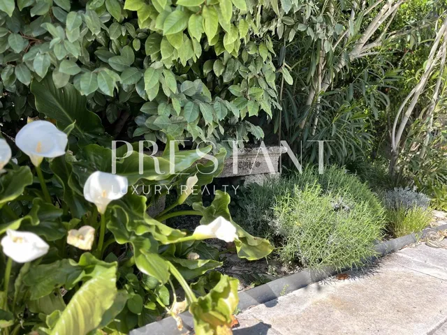 Detached stone mansion – ELEGANCE, TRANQUILITY AND BUCOLIC GARDEN - PARKING - BORDEAUX NANSOUTY