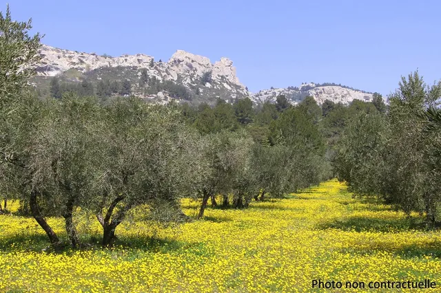 Land in Eygalieres, Provence - Var