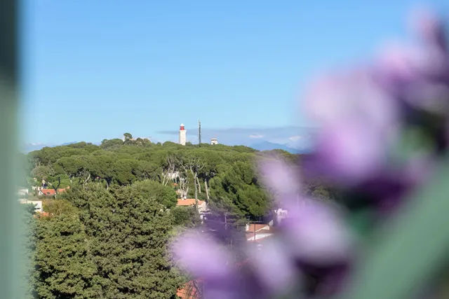 Apartment in Cap D Antibes, French Riviera