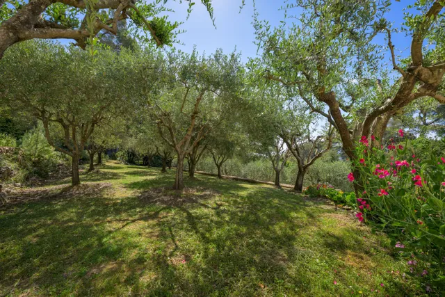 Villa in Cabris, French Riviera