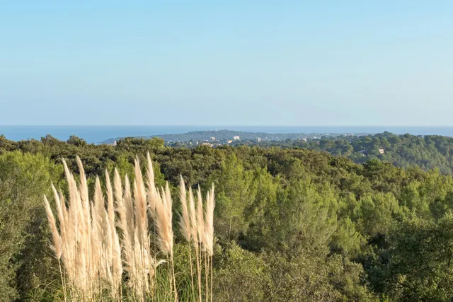 Villa in Valbonne, French Riviera