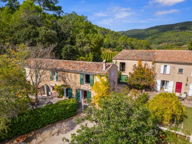 Vineyard in Le Cannet Des Maures, Provence - Var