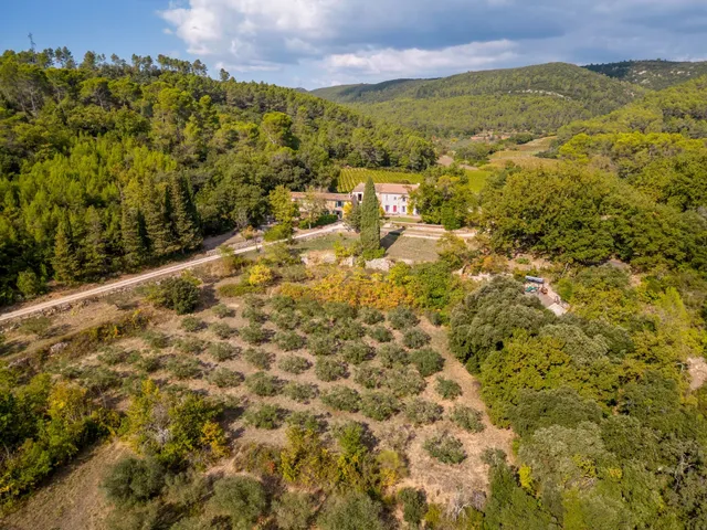 Vineyard in Le Cannet Des Maures, Provence - Var