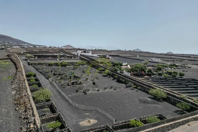 Lanzarote, Macher,