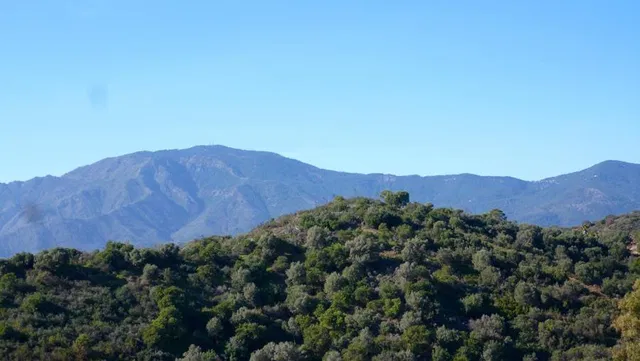 Plot in Estepona, Malaga