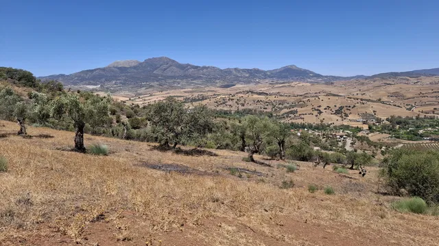 قطعة أرض في كوين، ملبا