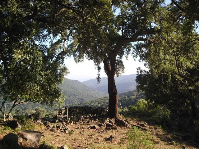 Plot in Cortes de la Frontera, Malaga