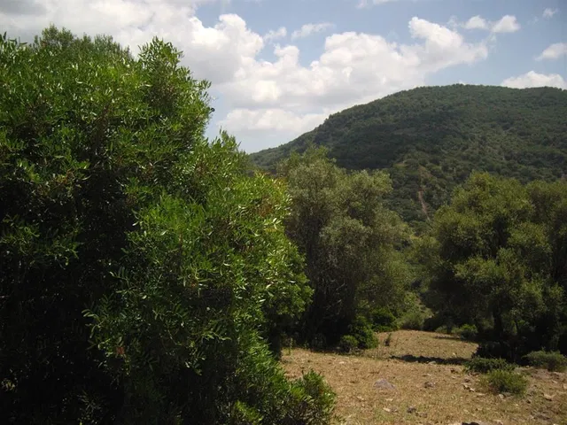 Plot in Cortes de la Frontera, Malaga