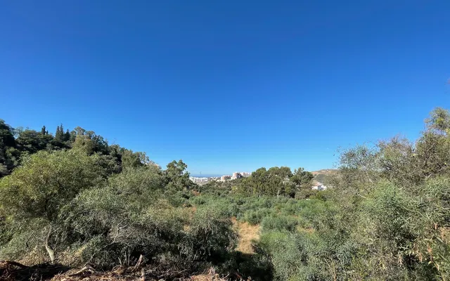Plot in Malaga