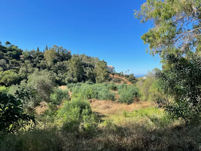 Plot in Malaga