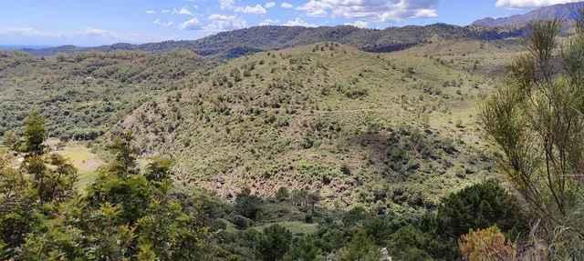 Plot in Benahavis, Malaga
